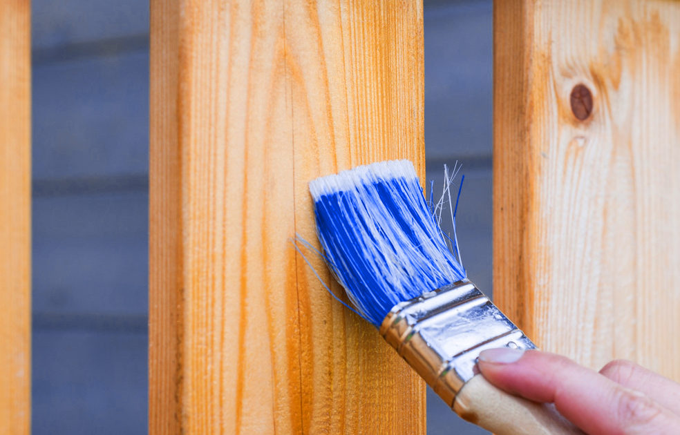 houses refurbishment- Paint